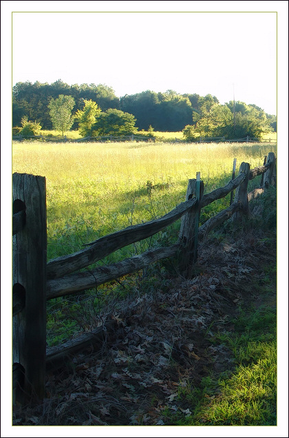 Fence and Field