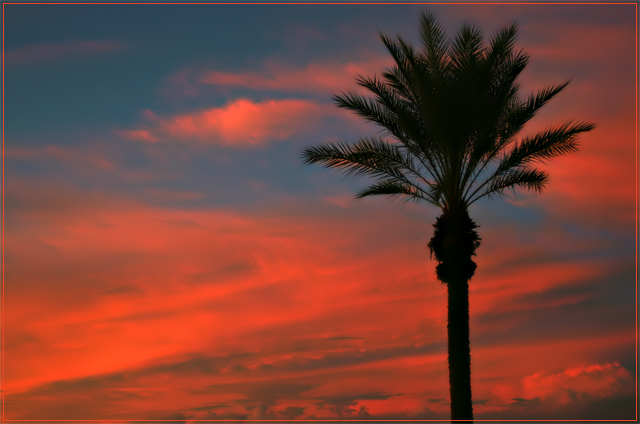 Dusk in the Desert