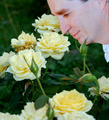 Everyone should take time to Stop and Smell the Roses.....at least for 19 days!