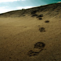 Follow Steve's Footprints, And You Will Find Him