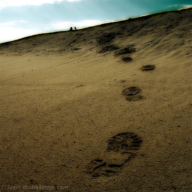 Follow Steve's Footprints, And You Will Find Him