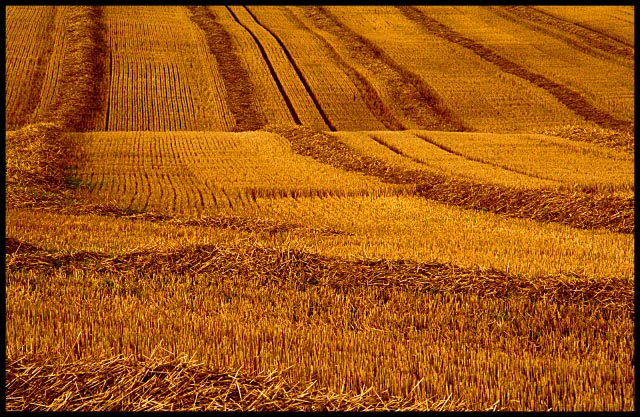 A day on the countryside.