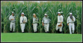 Field of Dreams - "If you build it... they will come"