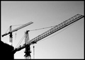 Repeating Cranes