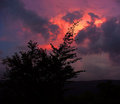 FIRE STORM