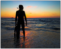 Where is my Mermaid?