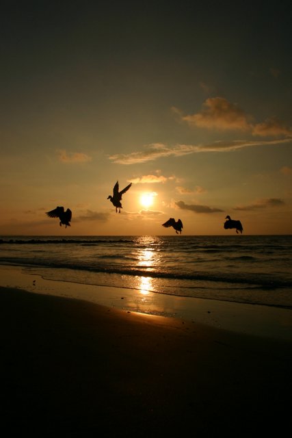 Taking flight