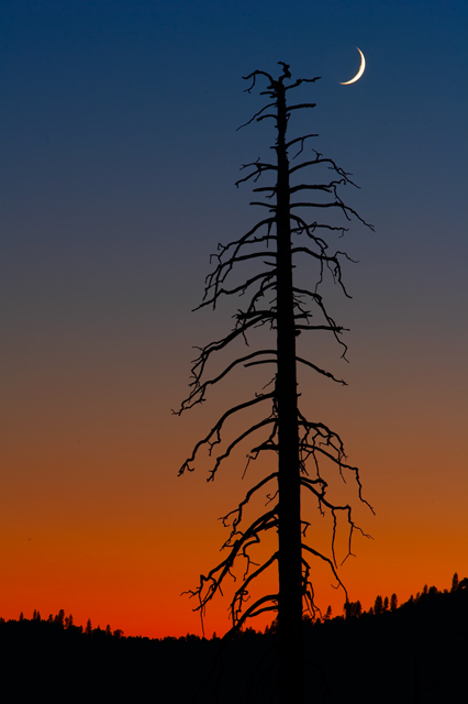 Crescent moon sunset
