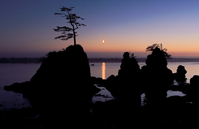 Three Graces