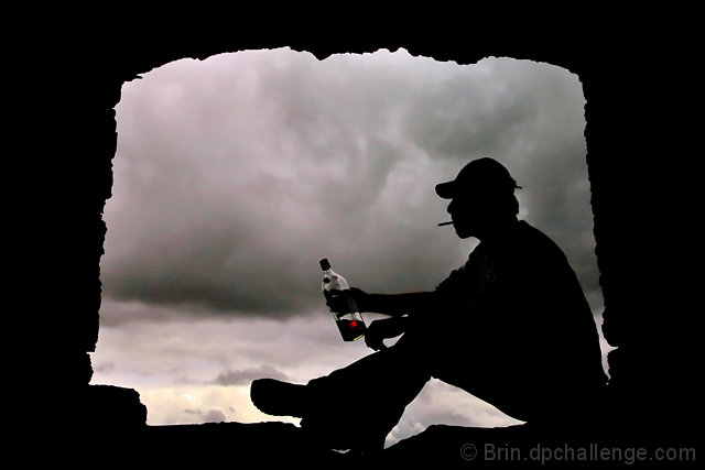 Stormy petrel