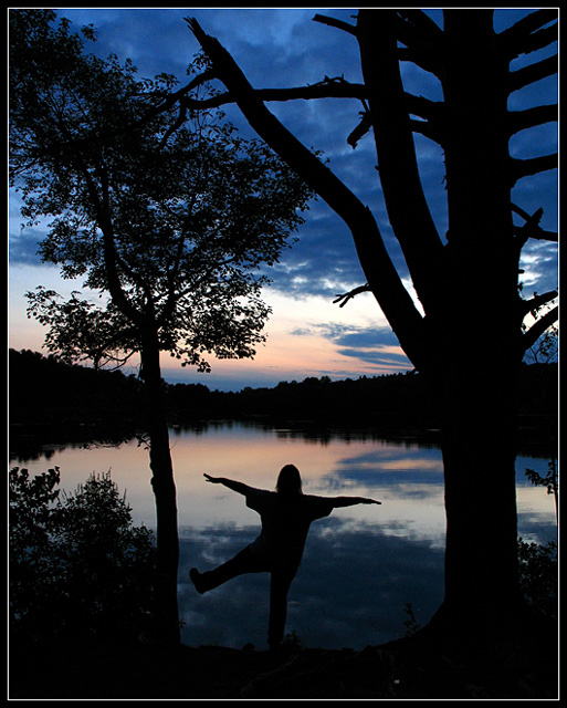 Among Trees