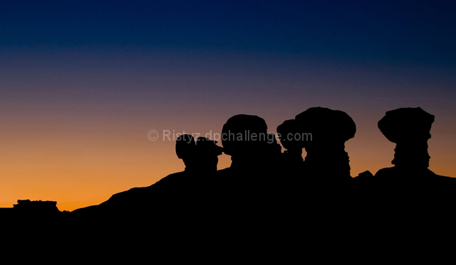 Desert Sentinels