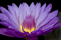 Inner light