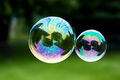 The World Through a Bubble