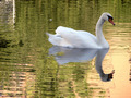 Floating at Thirds