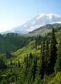 Mountain Trail