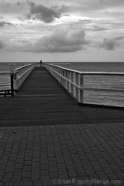 Head And Shoulders above the Horizon( The Black Spot Is Bird)