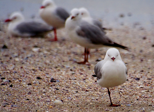 Stand out from the crowd