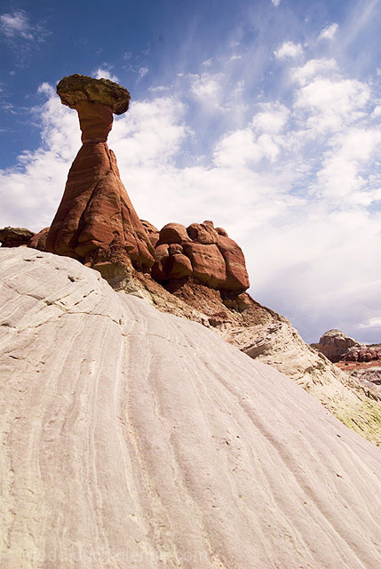 Toadstool Hoodoo