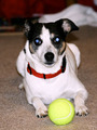 Play Ball