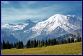 A Mountain Stroll
