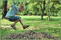 Jumping Into Fall