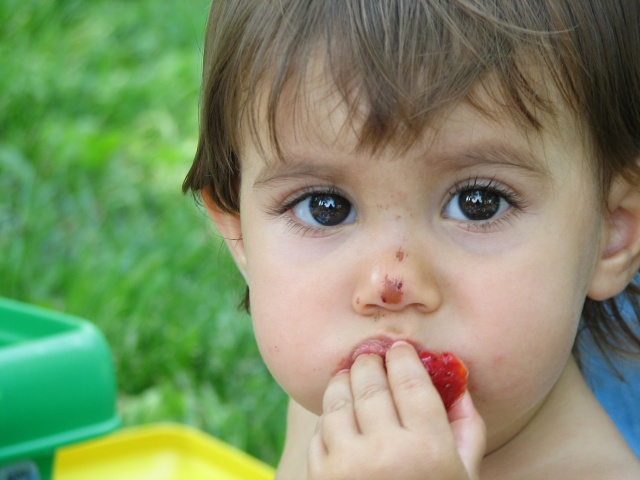 Picnic with Clara