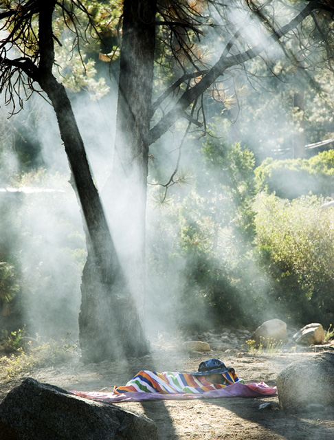 a long afternoon nap in the woods