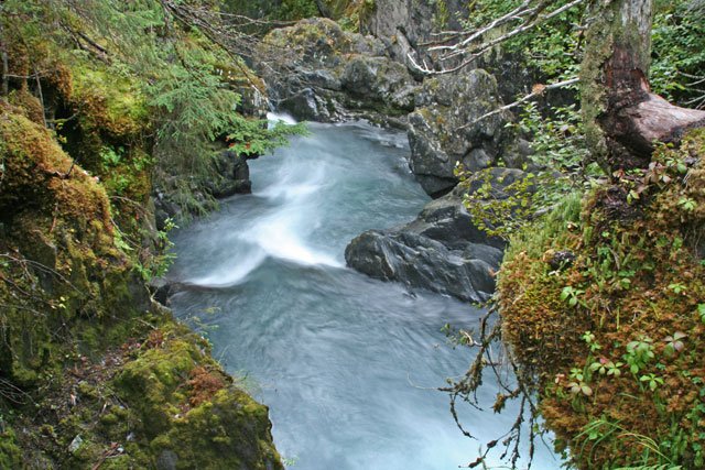 Water in the Rainforest