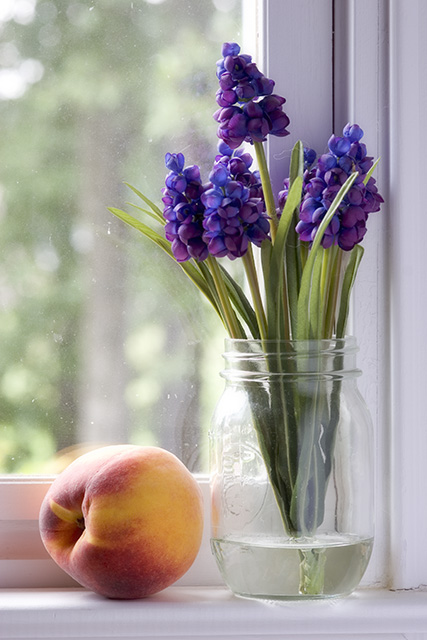 Simple Beauty  -  Fresh Peach and Lilacs (Soft Focus)