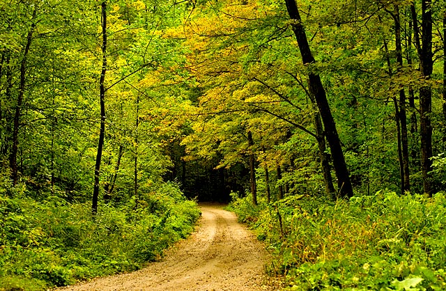 Autumn Country Stroll