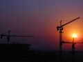 Cranes at Sunset