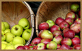 Autumn Apples