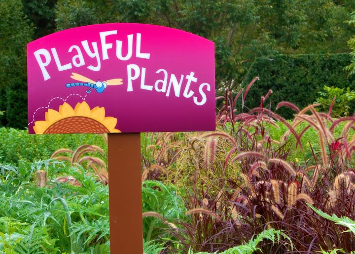 Playful Plants