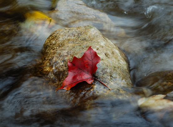 September's Rain