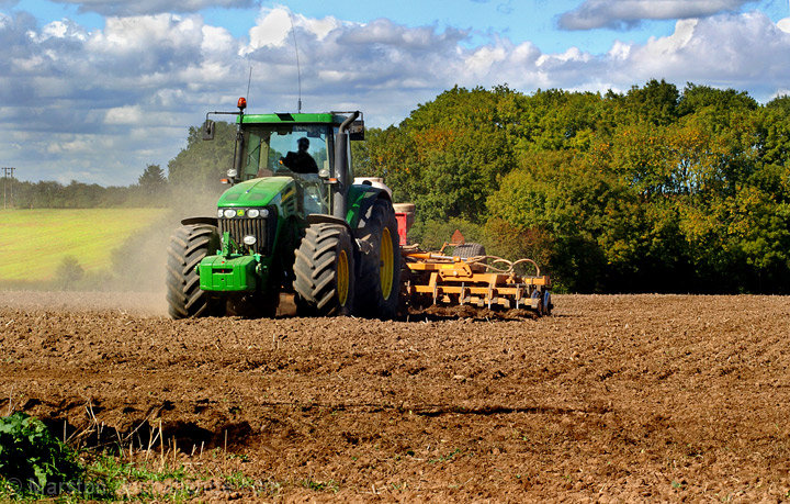 Autumn Sowing