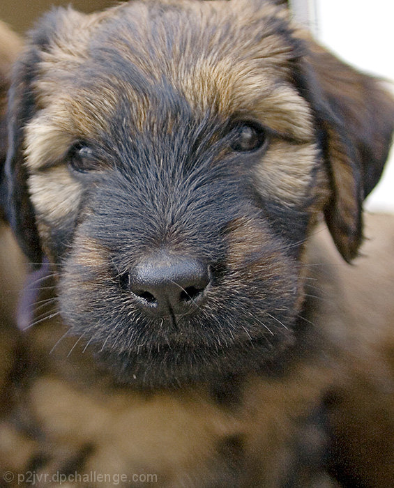 I'm too young to leave Mum