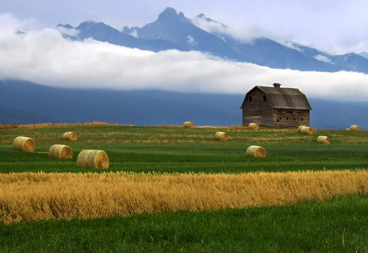 Autumn Bales with Barn