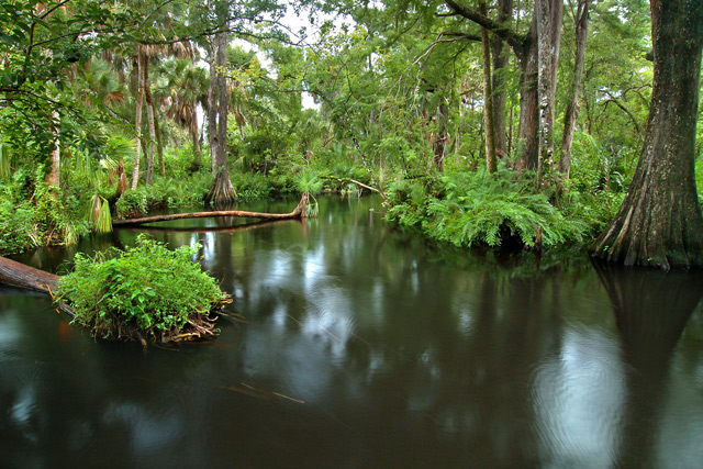 Lazy Loxahatchee River