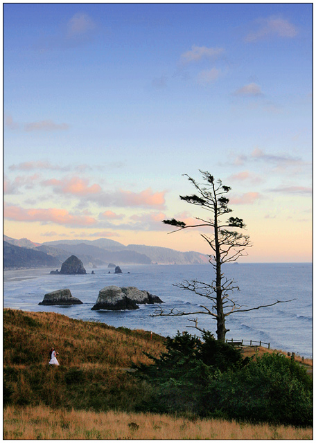 The Wedding Tree