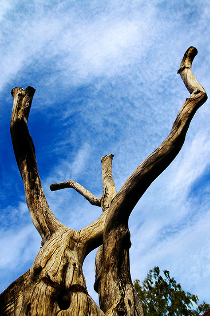 Reaching up