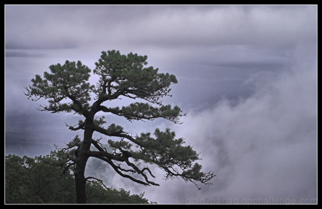 Moutaintop Sentinel : Another Stormy Chapter