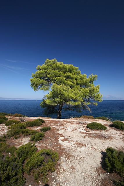 Mediterranean Summer