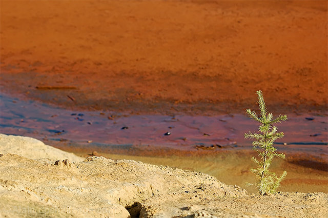 The Ultimate Fight: Nature Against Men’s Pollution