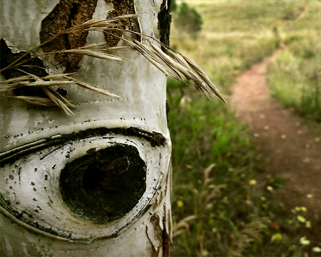 Le Voyeur