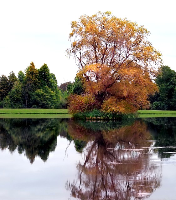 Isolated Beauty