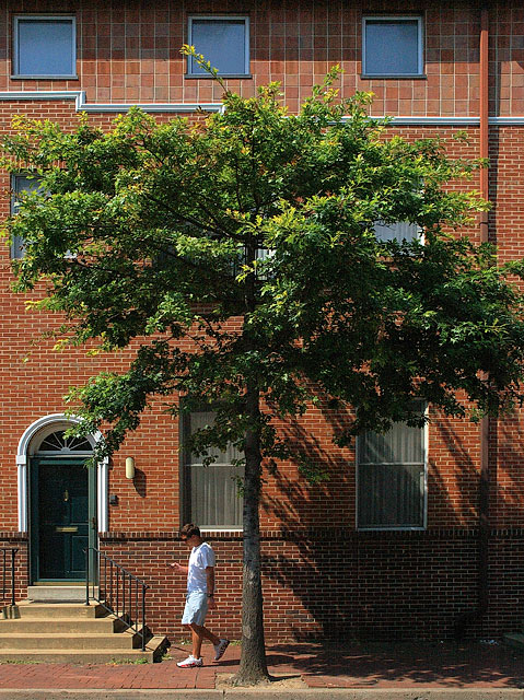 A Tree in the Neighborhood