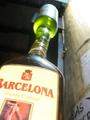 the drunken master