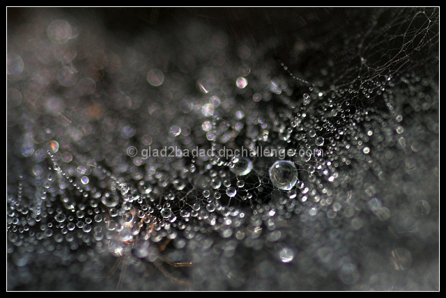 Beyond the reach of education.