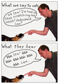 What We Say to Cats...and What They Hear